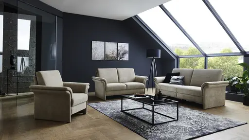  Modell Capri  -                                               Sofa 2,5 Sitzer und Sofa 2 Sitzer